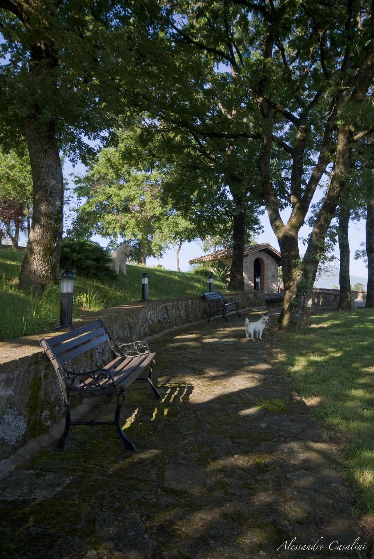 Agriturismo Selvella Villa Radicofani Exterior photo